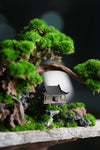 Greenwood - A Path in the East (Preserved Plants)