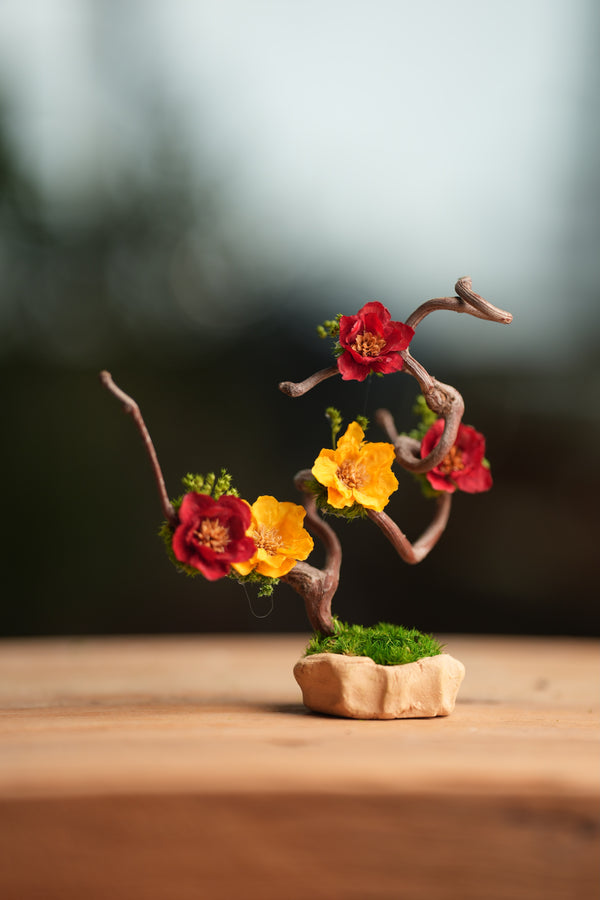 Children of the Forest - Vibrant - Smaller (Preserved Plants)