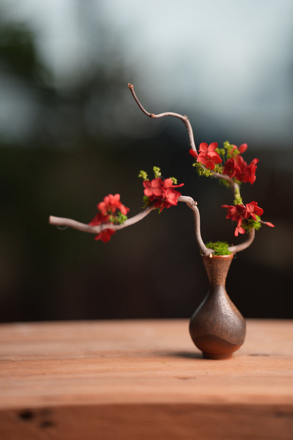 Children of the Forest - The Journey edition (Preserved Plants)