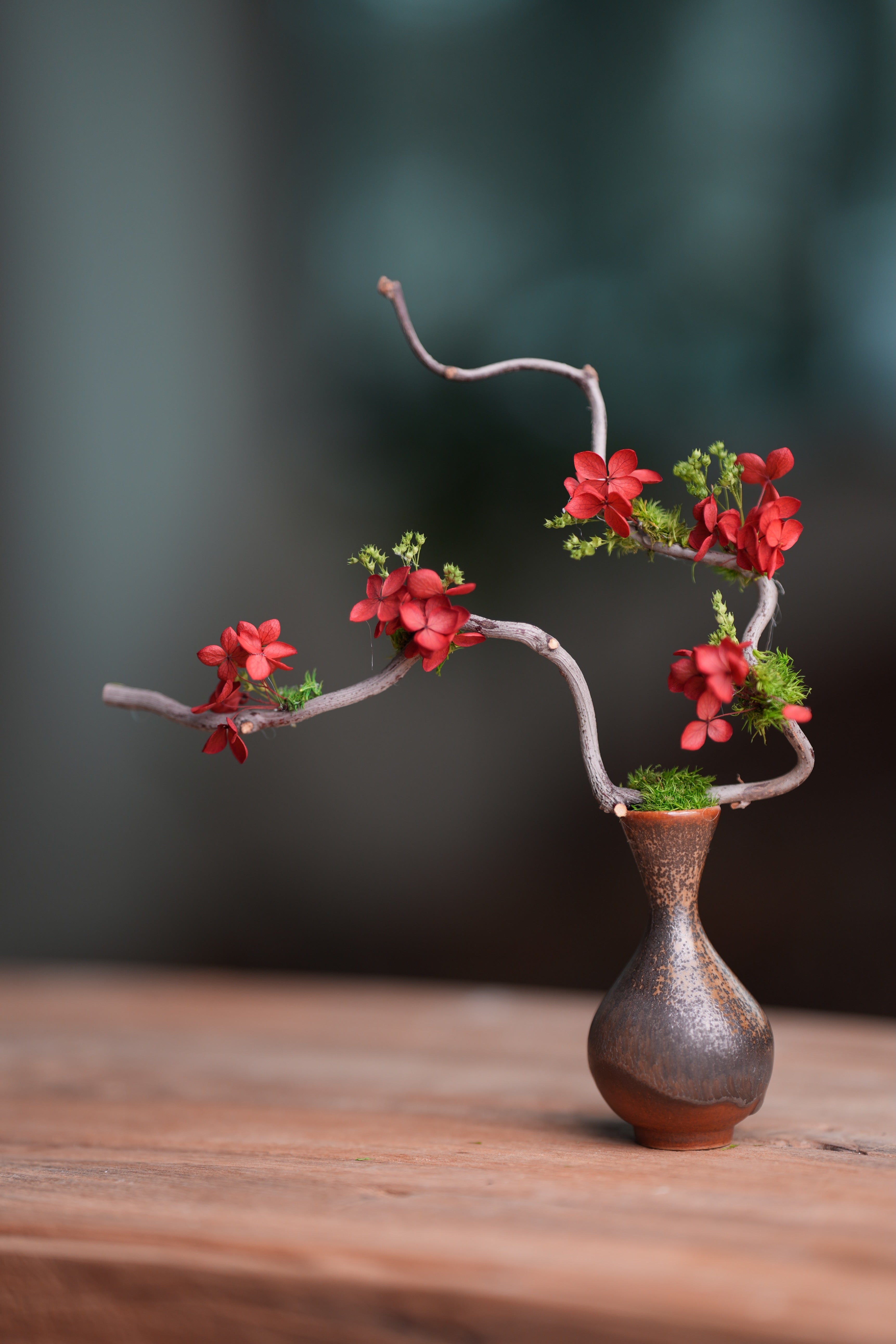 Children of the Forest - The Journey edition (Preserved Plants)