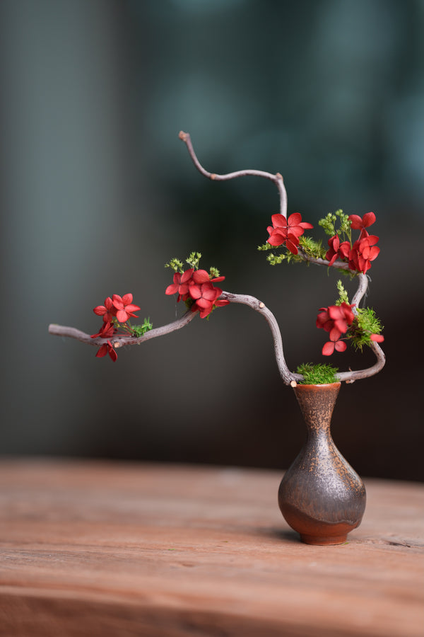 Children of the Forest - The Journey edition (Preserved Plants)