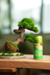 Lone Pine - Rosewood - Teaman's Delight (Preserved Plants)