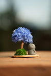 A Small Tree in the East - Blue Dream - Journeyman (Preserved Plants)