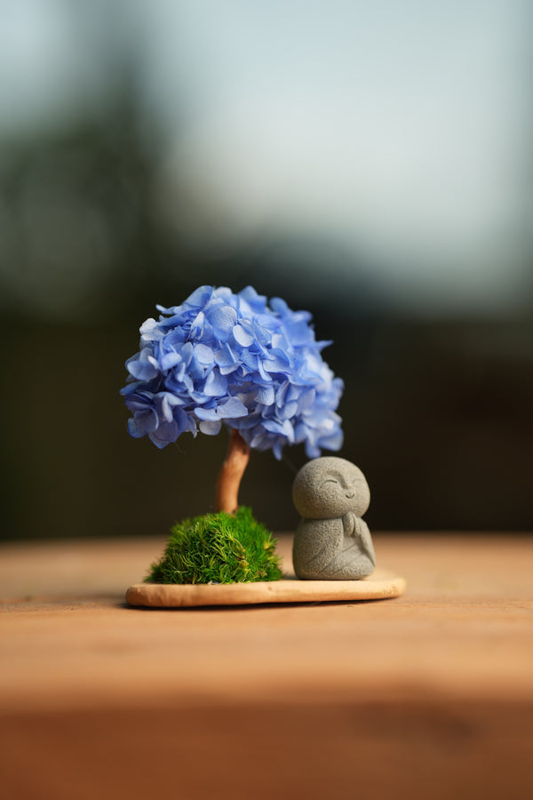A Small Tree in the East - Blue Dream - Journeyman (Preserved Plants)