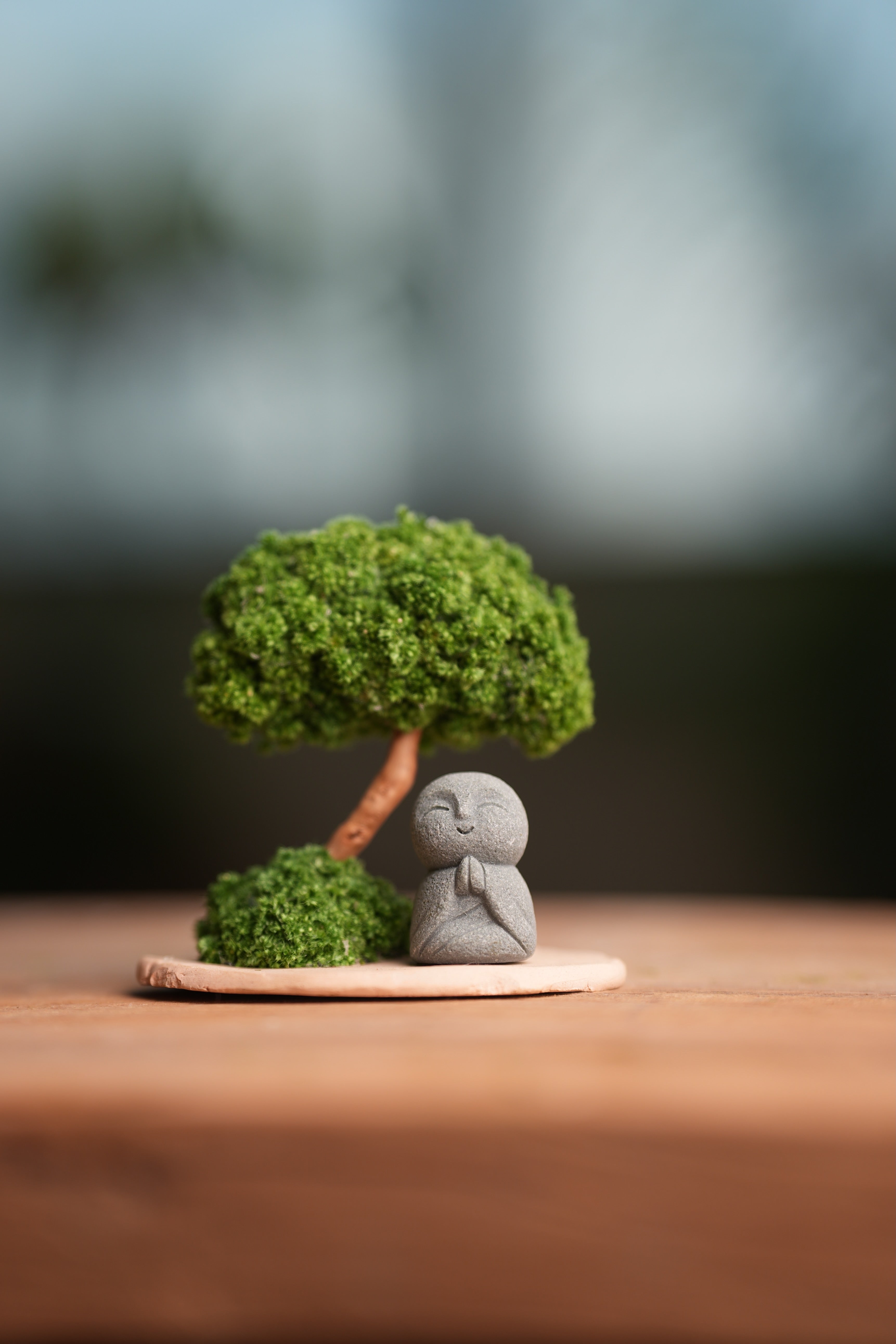 A Small Tree in the East - Classic - Journeyman (Preserved Plants)