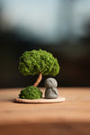 A Small Tree in the East - Classic - Journeyman (Preserved Plants)