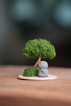 A Small Tree in the East - Classic - Journeyman (Preserved Plants)