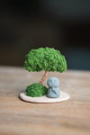 A Small Tree in the East - Classic - Journeyman (Preserved Plants)
