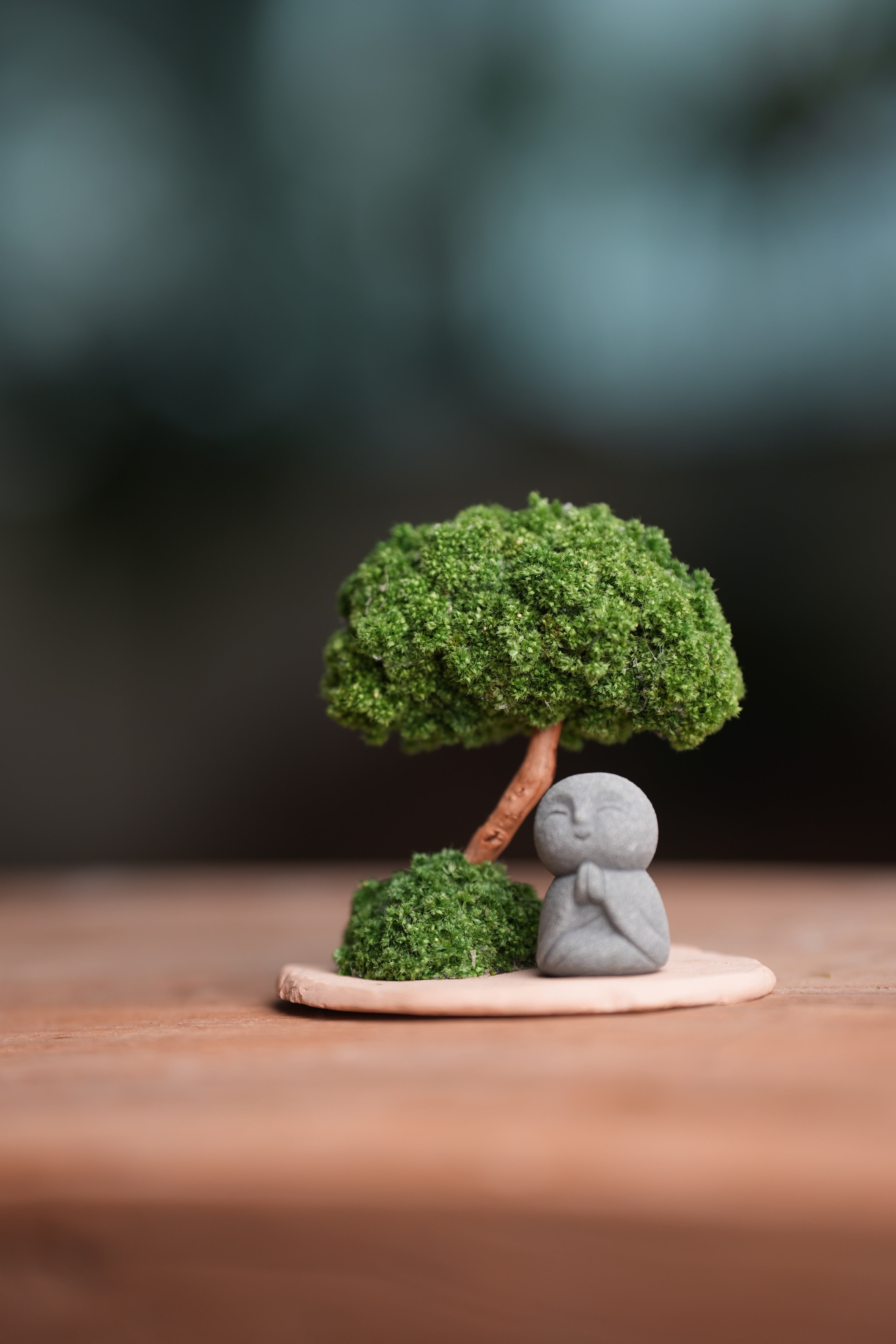 A Small Tree in the East - Classic - Journeyman (Preserved Plants)