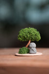 A Small Tree in the East - Classic - Journeyman (Preserved Plants)
