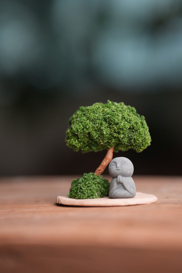 A Small Tree in the East - Classic - Journeyman (Preserved Plants)