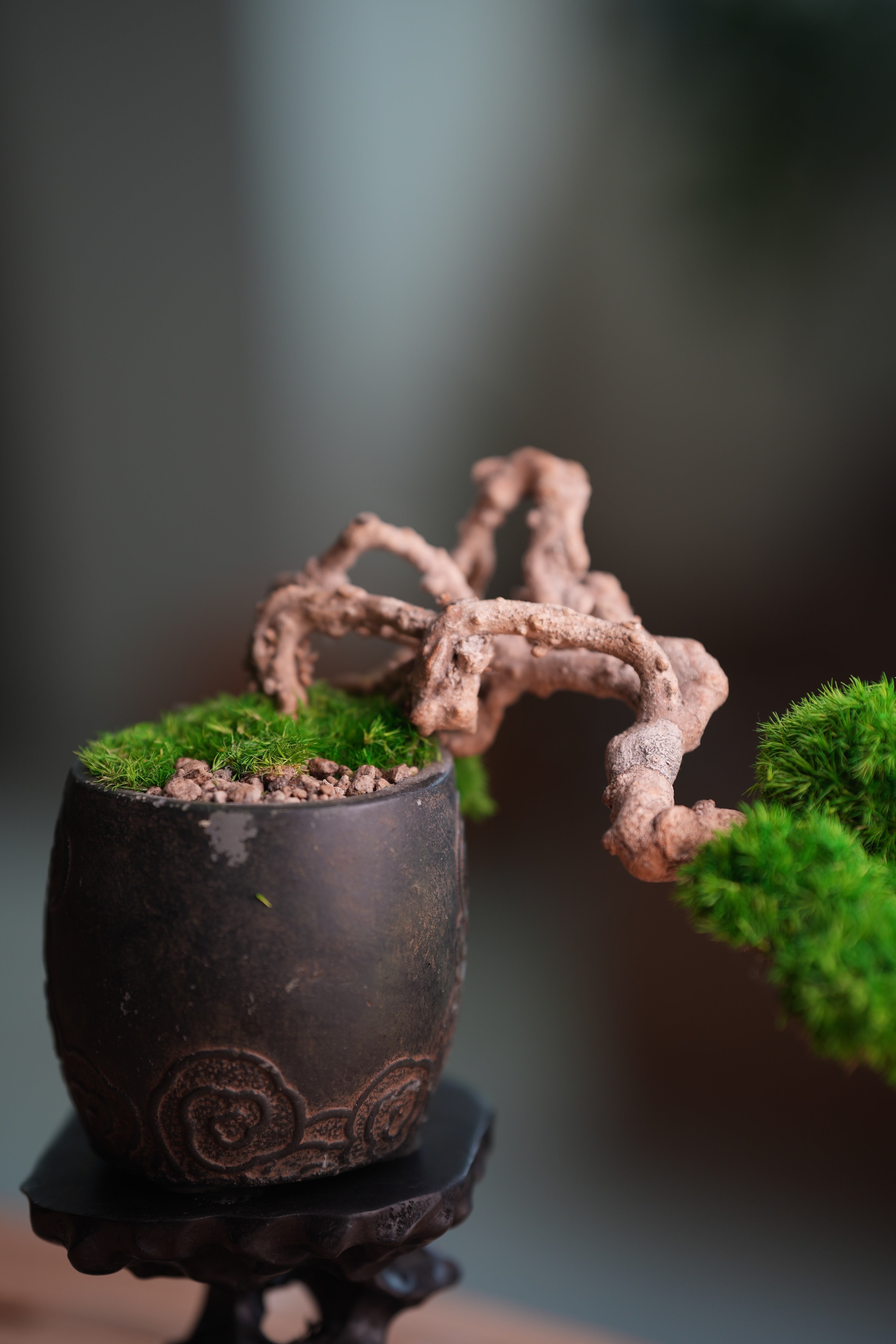 Summer's Whispers (Preserved Plants)