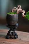 Summer's Whispers (Preserved Plants)