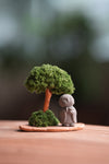 A Small Tree in the East - Classic - Journeyman (Preserved Plants)