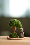 A Small Tree in the East - Classic - Journeyman (Preserved Plants)
