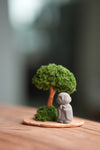 A Small Tree in the East - Classic - Journeyman (Preserved Plants)