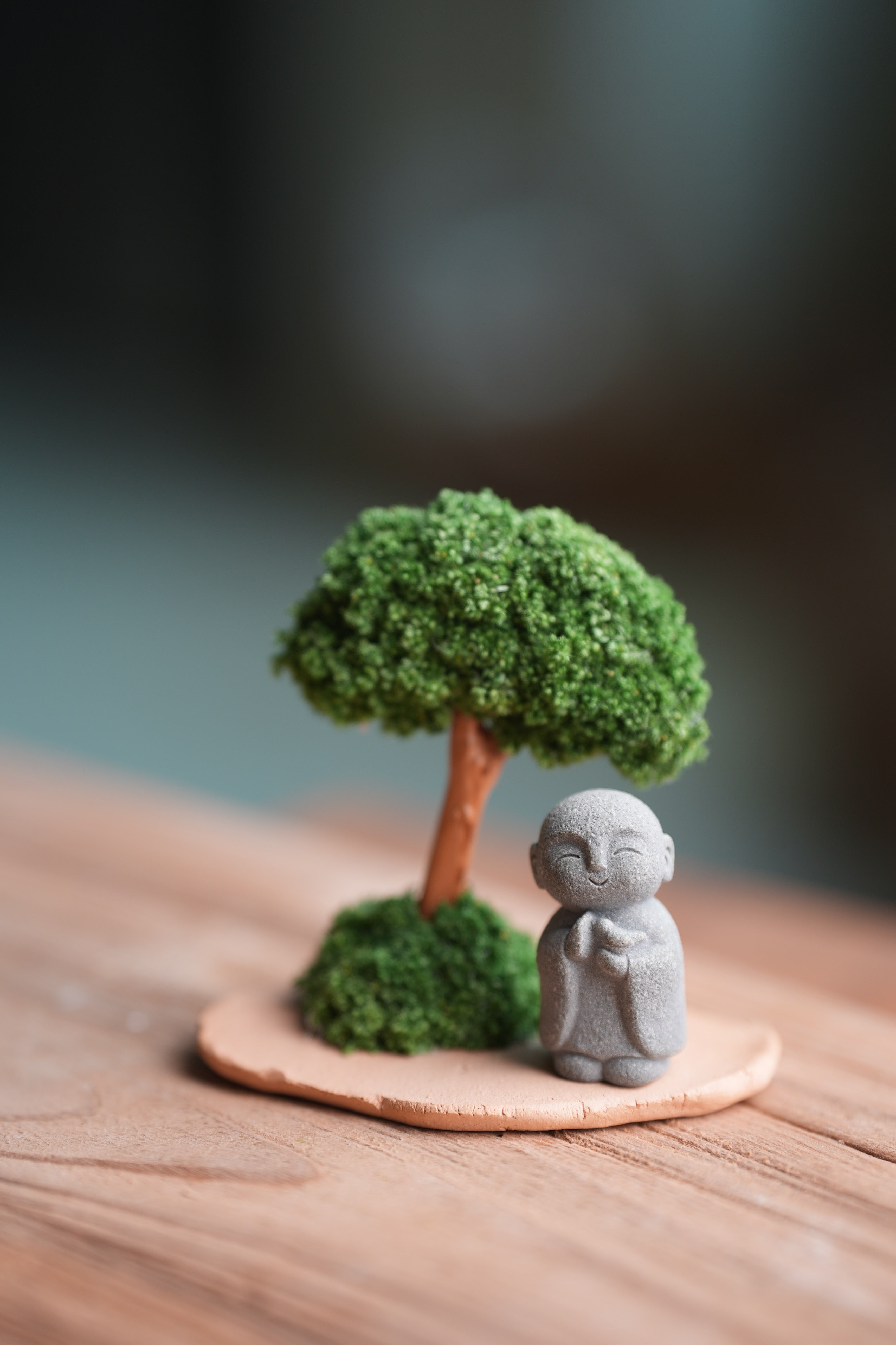 A Small Tree in the East - Classic - Journeyman (Preserved Plants)