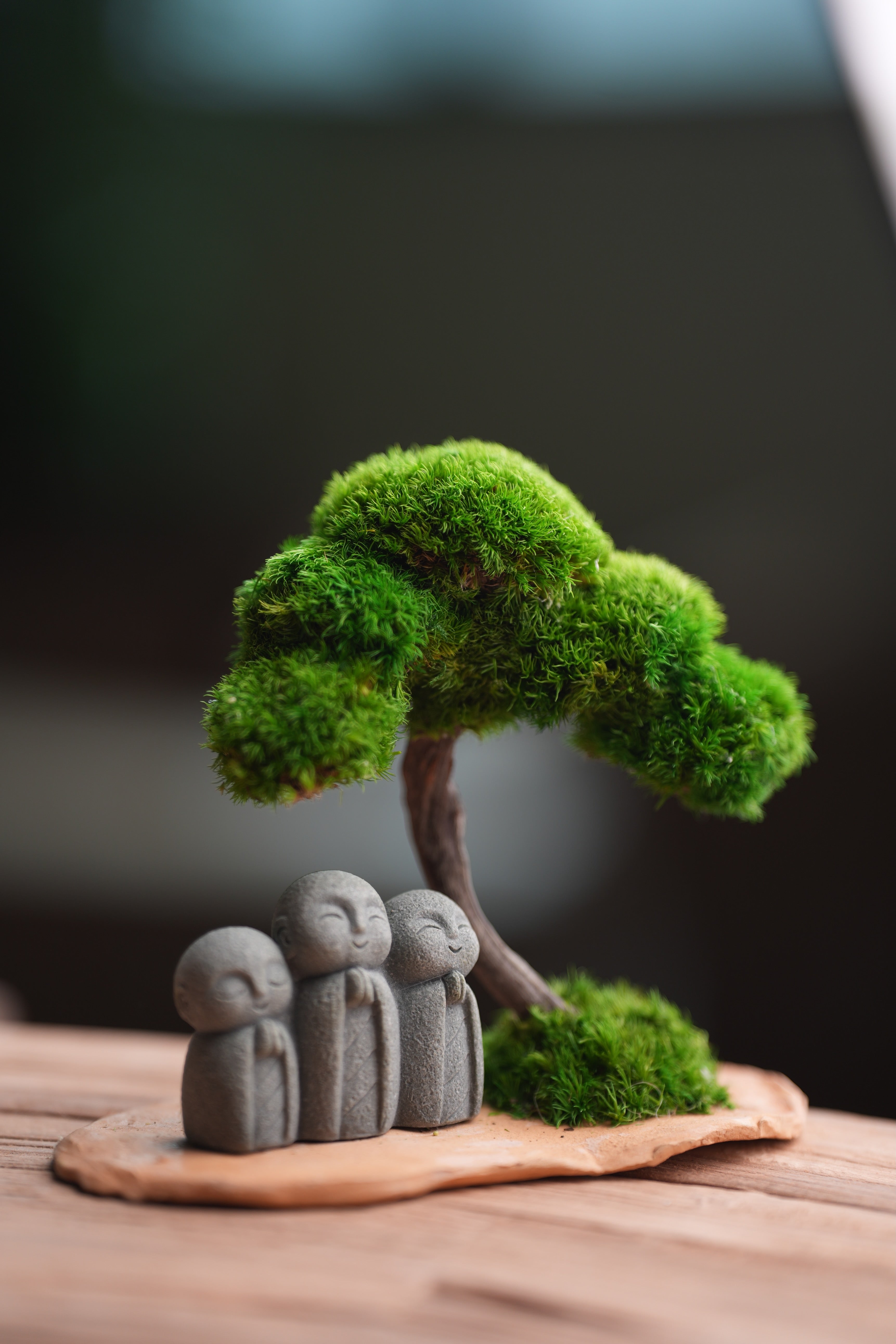 A Small Tree in the East - Classic - Journeyman (Preserved Plants)
