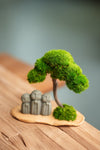 A Small Tree in the East - Classic - Journeyman (Preserved Plants)