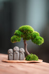 A Small Tree in the East - Classic - Journeyman (Preserved Plants)
