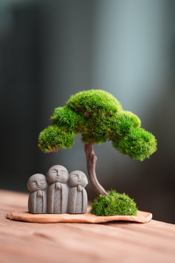 A Small Tree in the East - Classic - Journeyman (Preserved Plants)