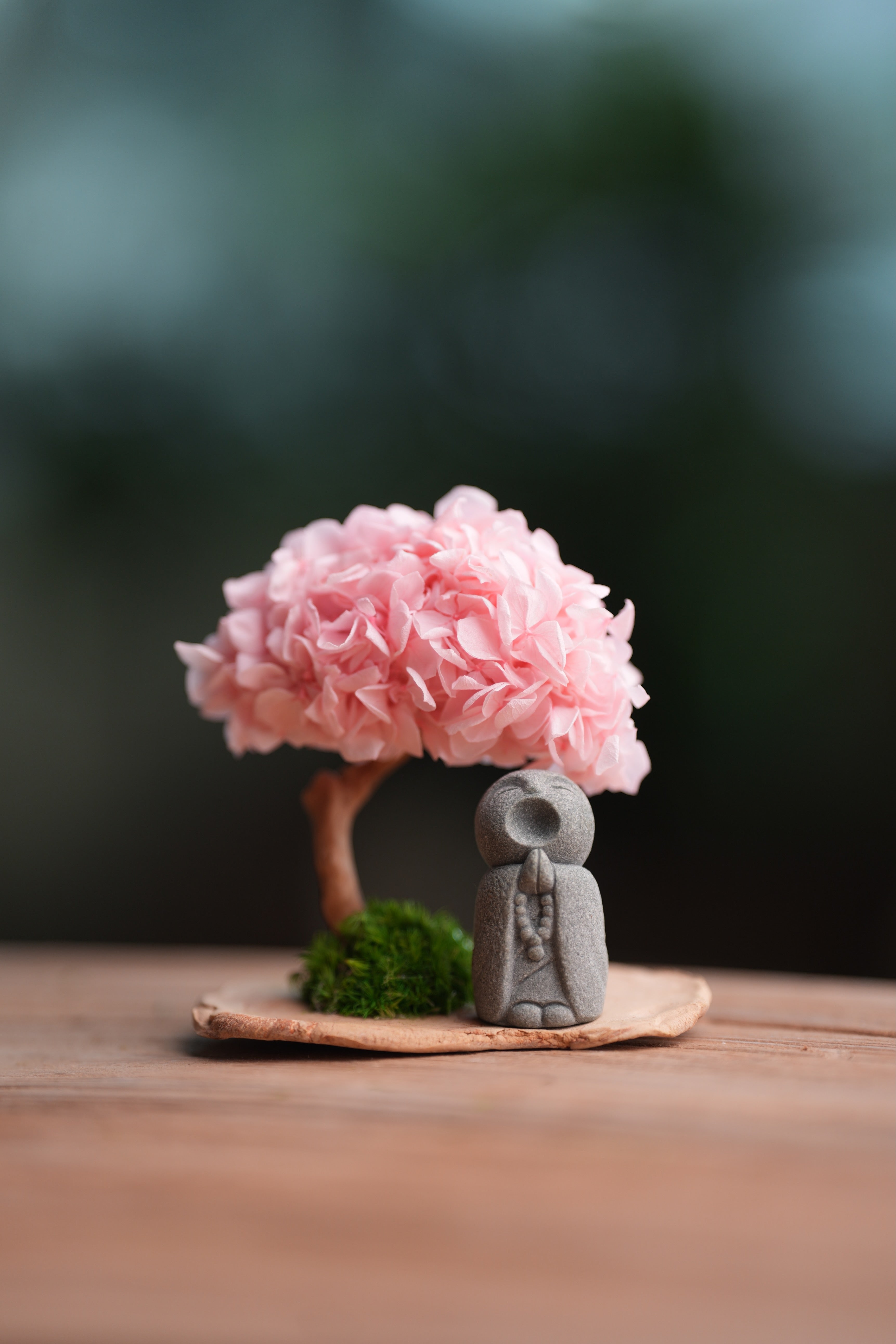 A Small Tree in the East - Sakura - Journeyman (Preserved Plants)
