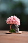 A Small Tree in the East - Sakura - Journeyman (Preserved Plants)