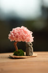 A Small Tree in the East - Sakura - Journeyman (Preserved Plants)