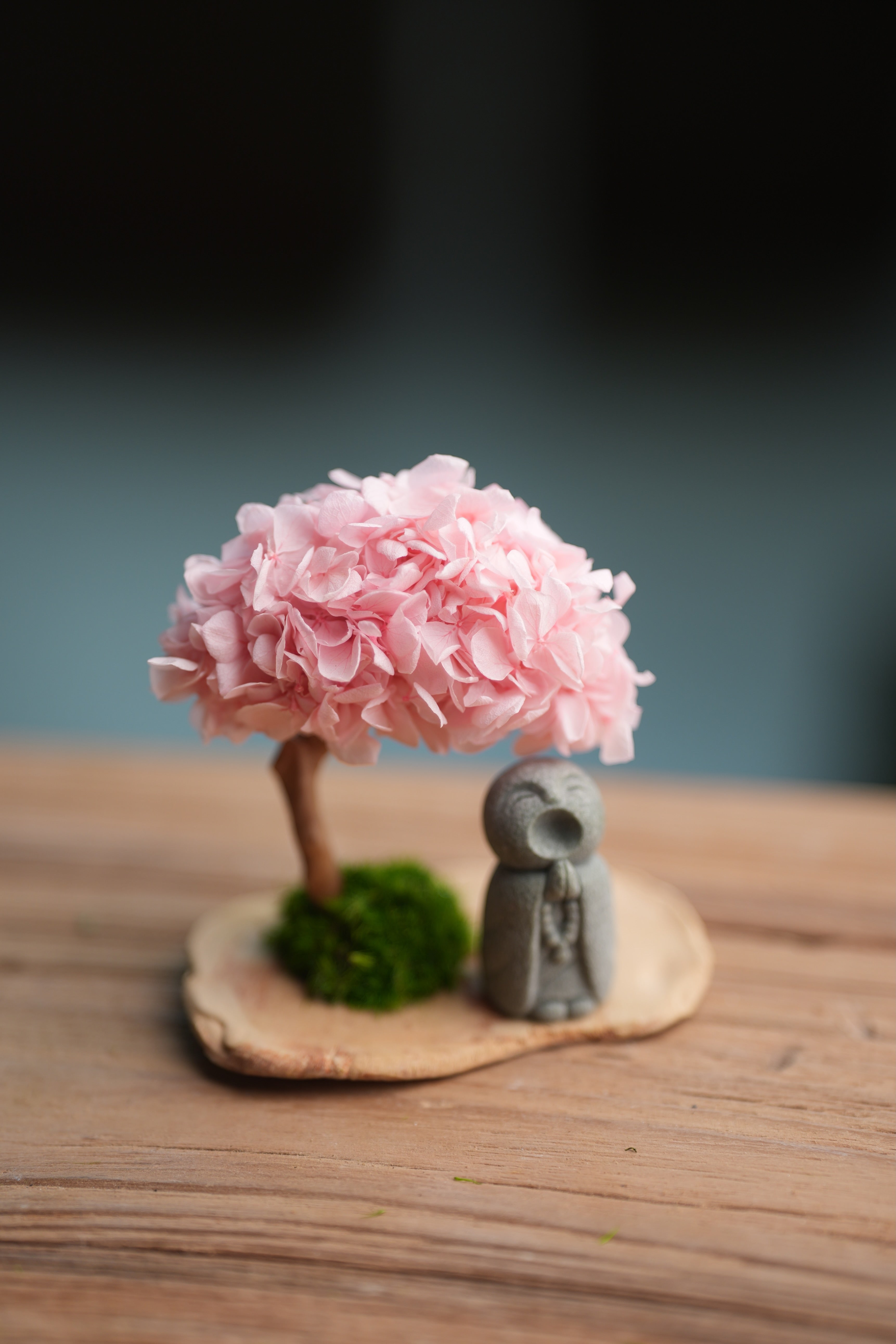 A Small Tree in the East - Sakura - Journeyman (Preserved Plants)