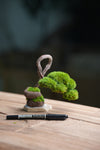 A Small Tree in the East - Classics (Preserved Plants)