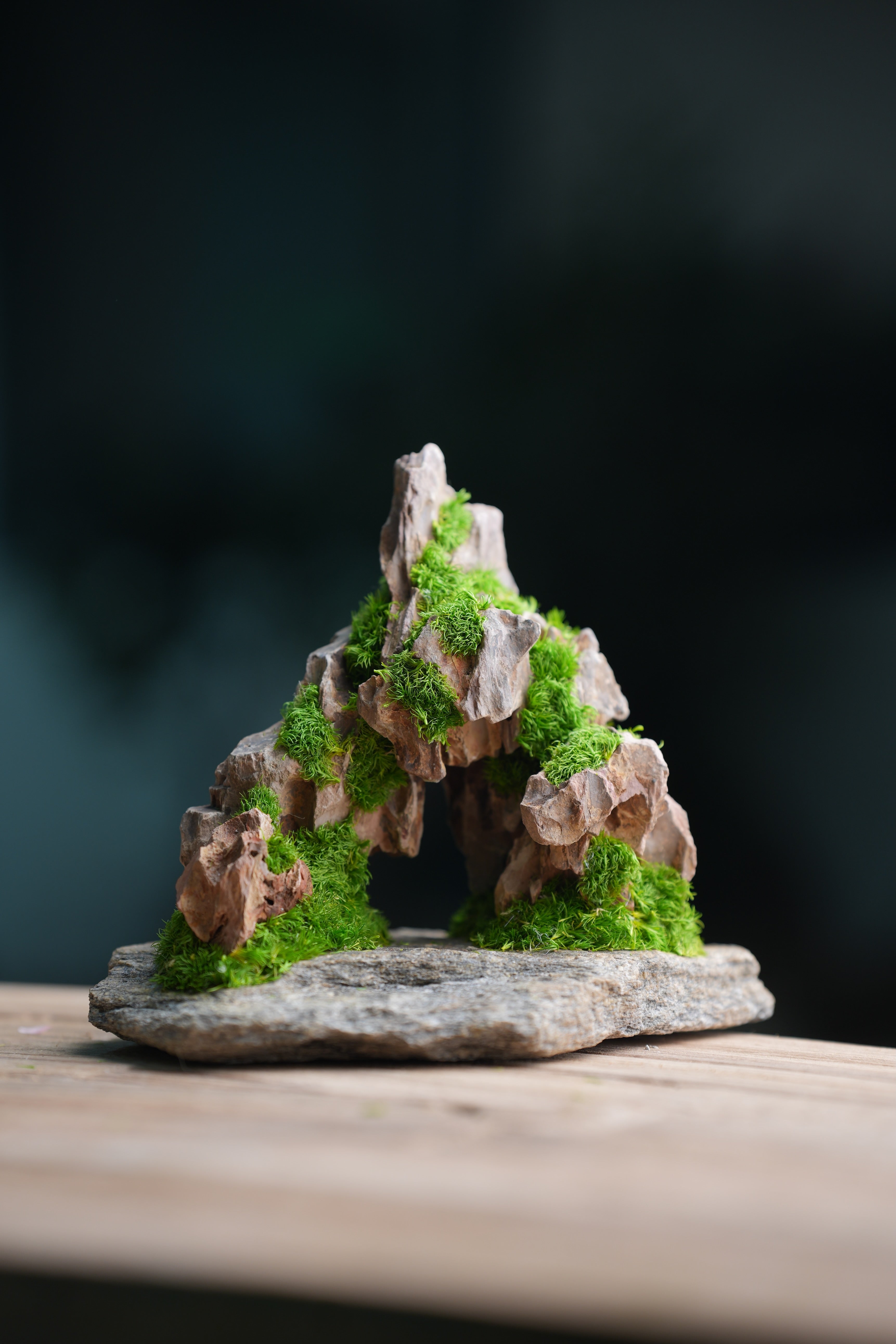 Angel's Landing - Smaller version (Preserved Plants)