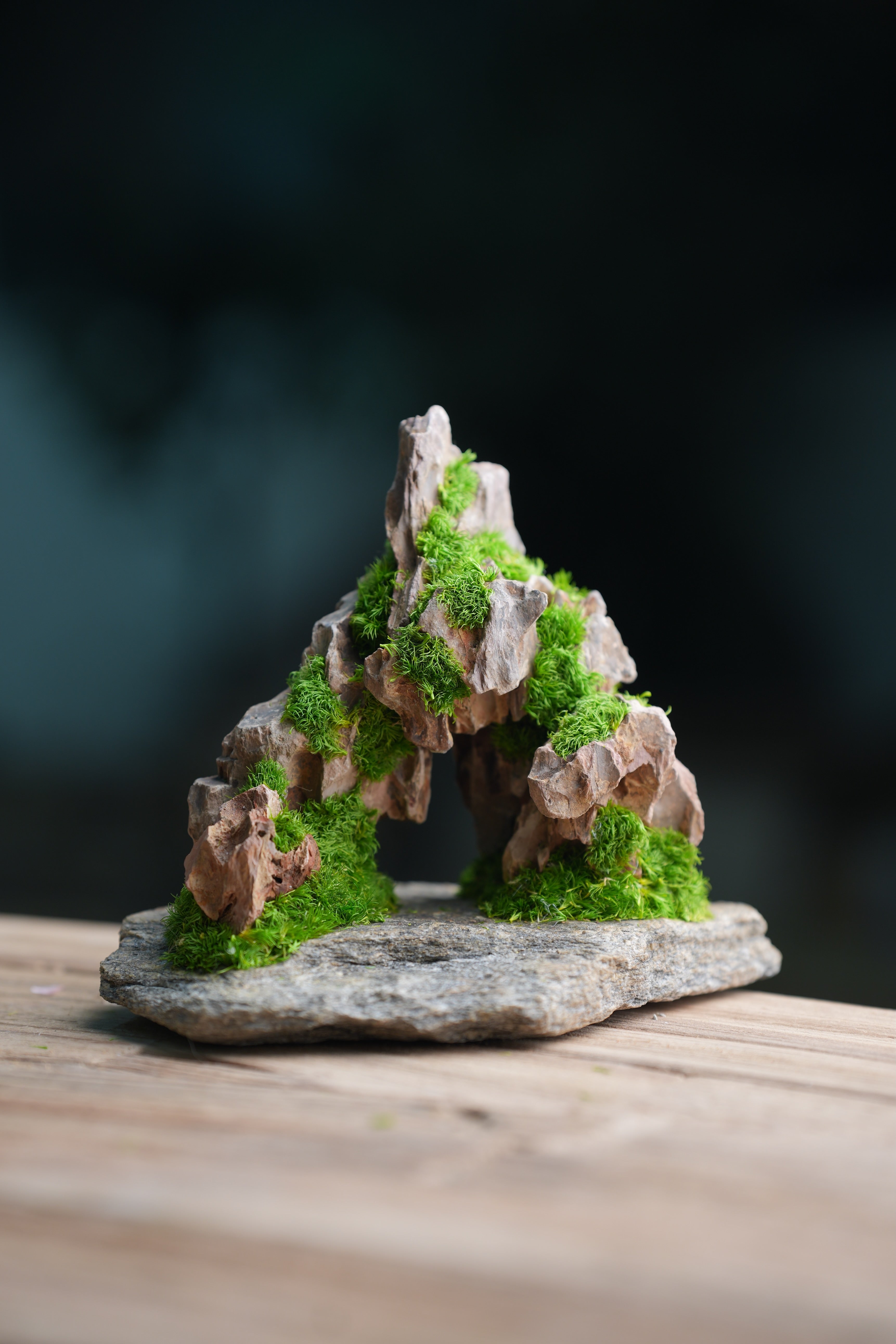 Angel's Landing - Smaller version (Preserved Plants)