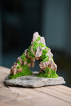Angel's Landing - Smaller version (Preserved Plants)