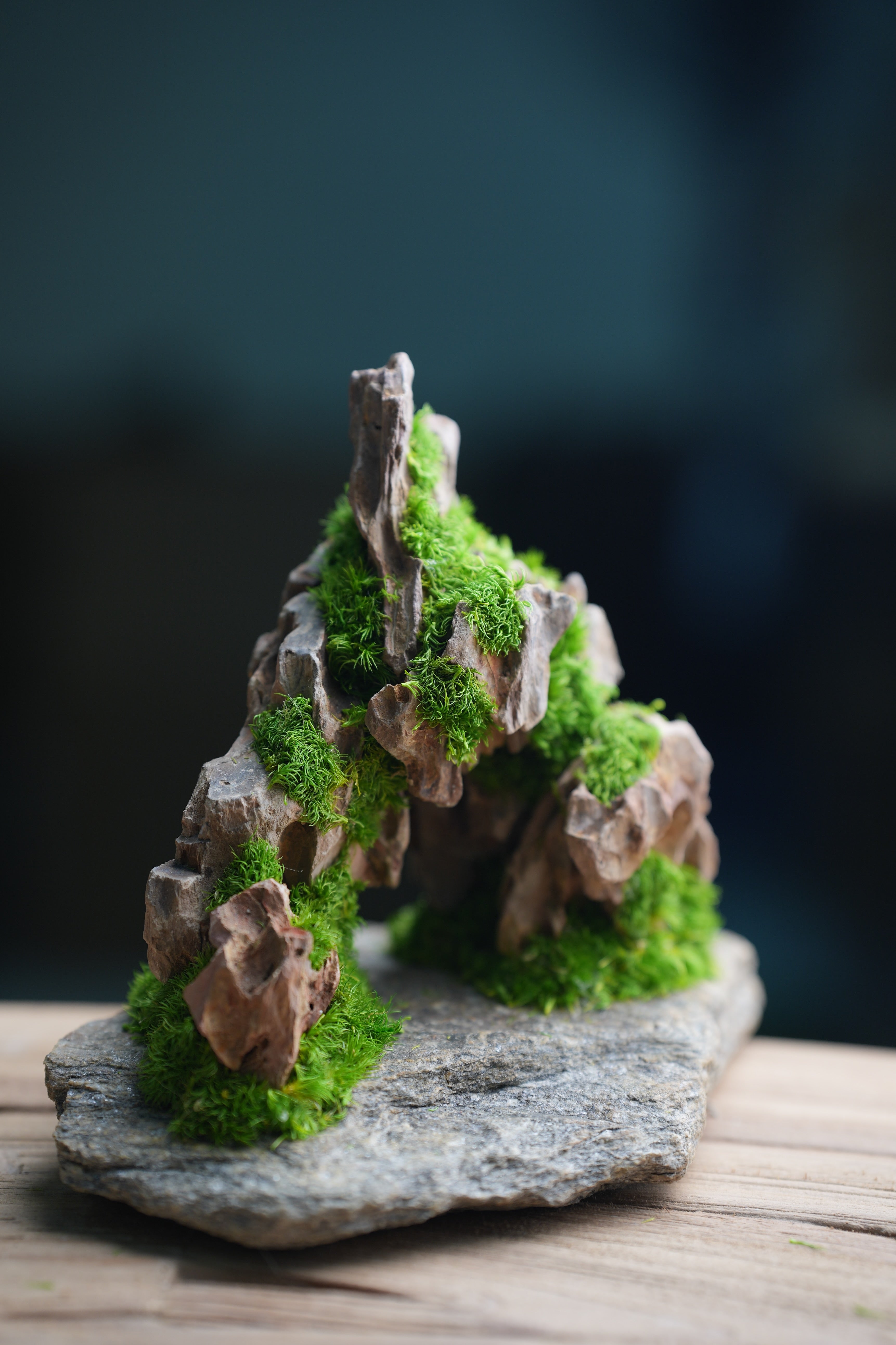 Angel's Landing - Smaller version (Preserved Plants)