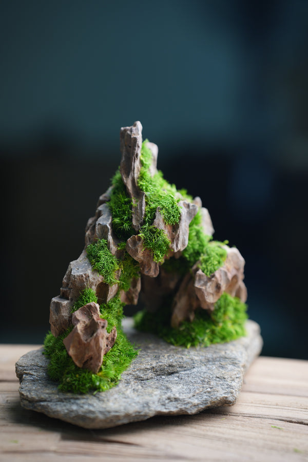 Angel's Landing - Smaller version (Preserved Plants)