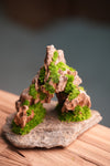 Angel's Landing - Smaller version (Preserved Plants)