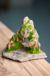 Angel's Landing - Smaller version (Preserved Plants)