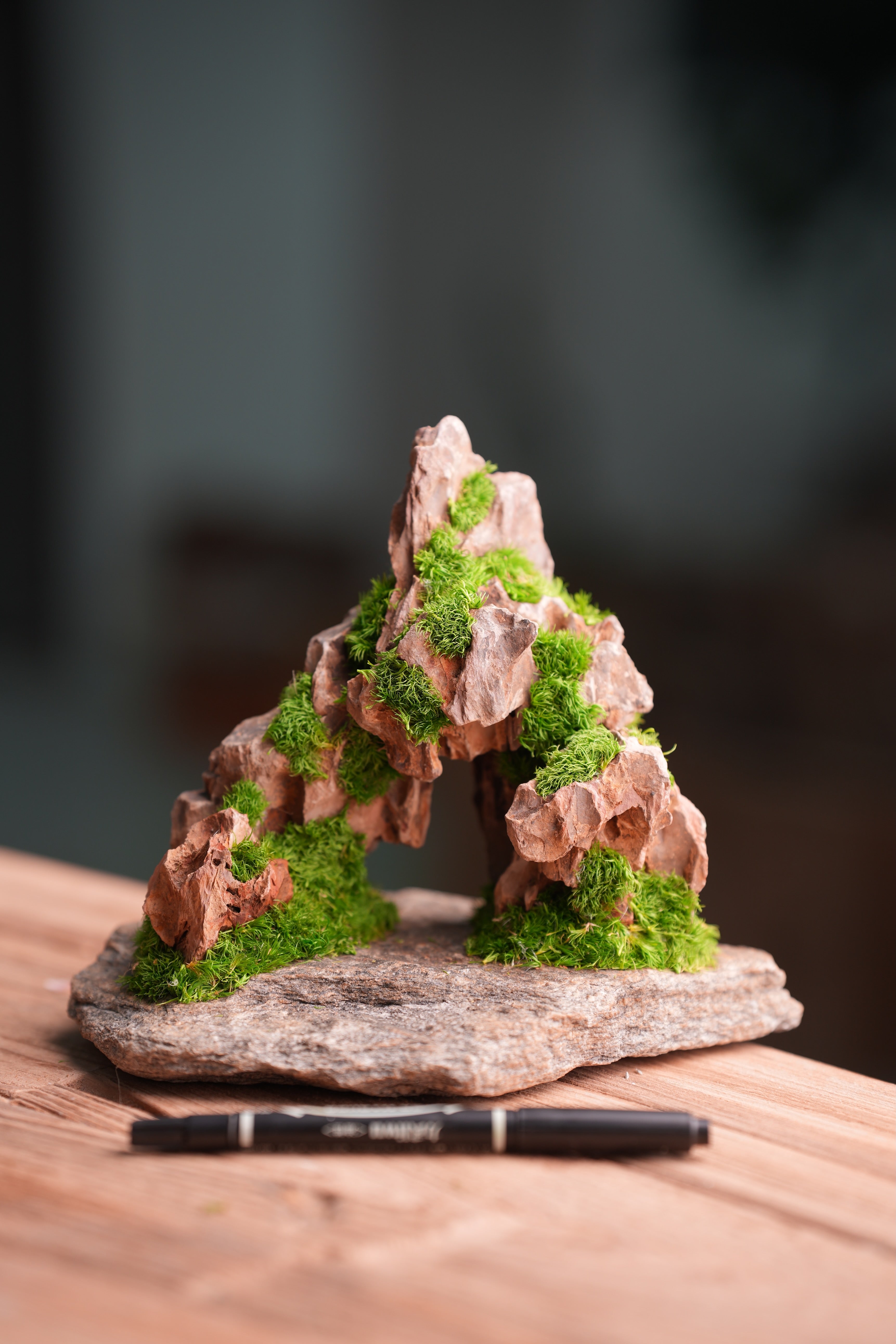 Angel's Landing - Smaller version (Preserved Plants)