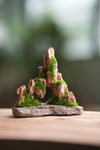 Angel's Landing - Smaller version (Preserved Plants)