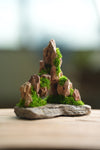 Angel's Landing - Smaller version (Preserved Plants)
