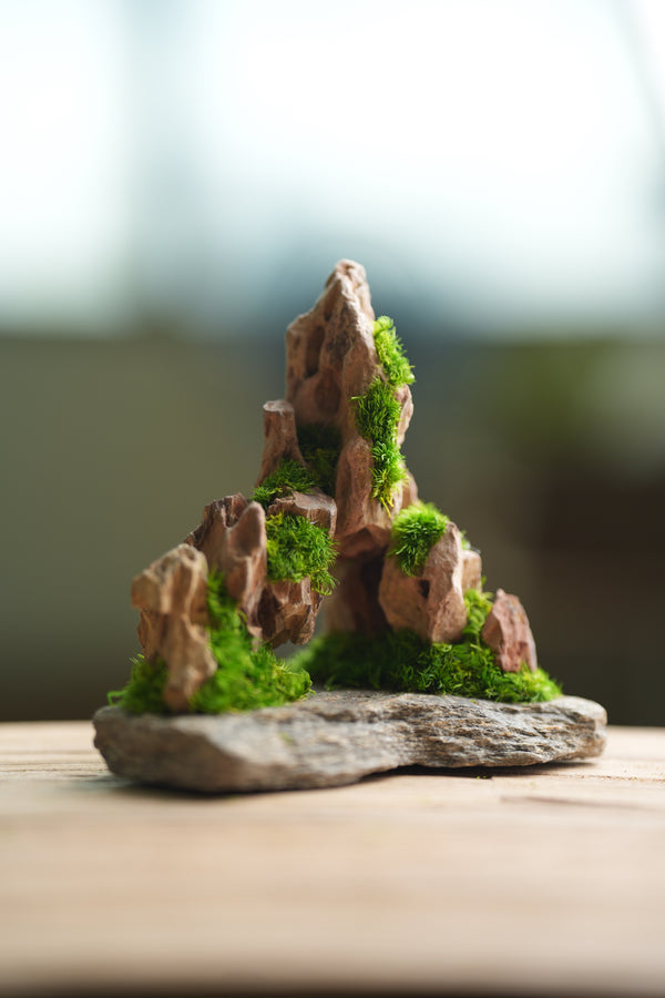 Angel's Landing - Smaller version (Preserved Plants)