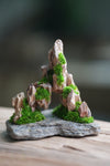 Angel's Landing - Smaller version (Preserved Plants)