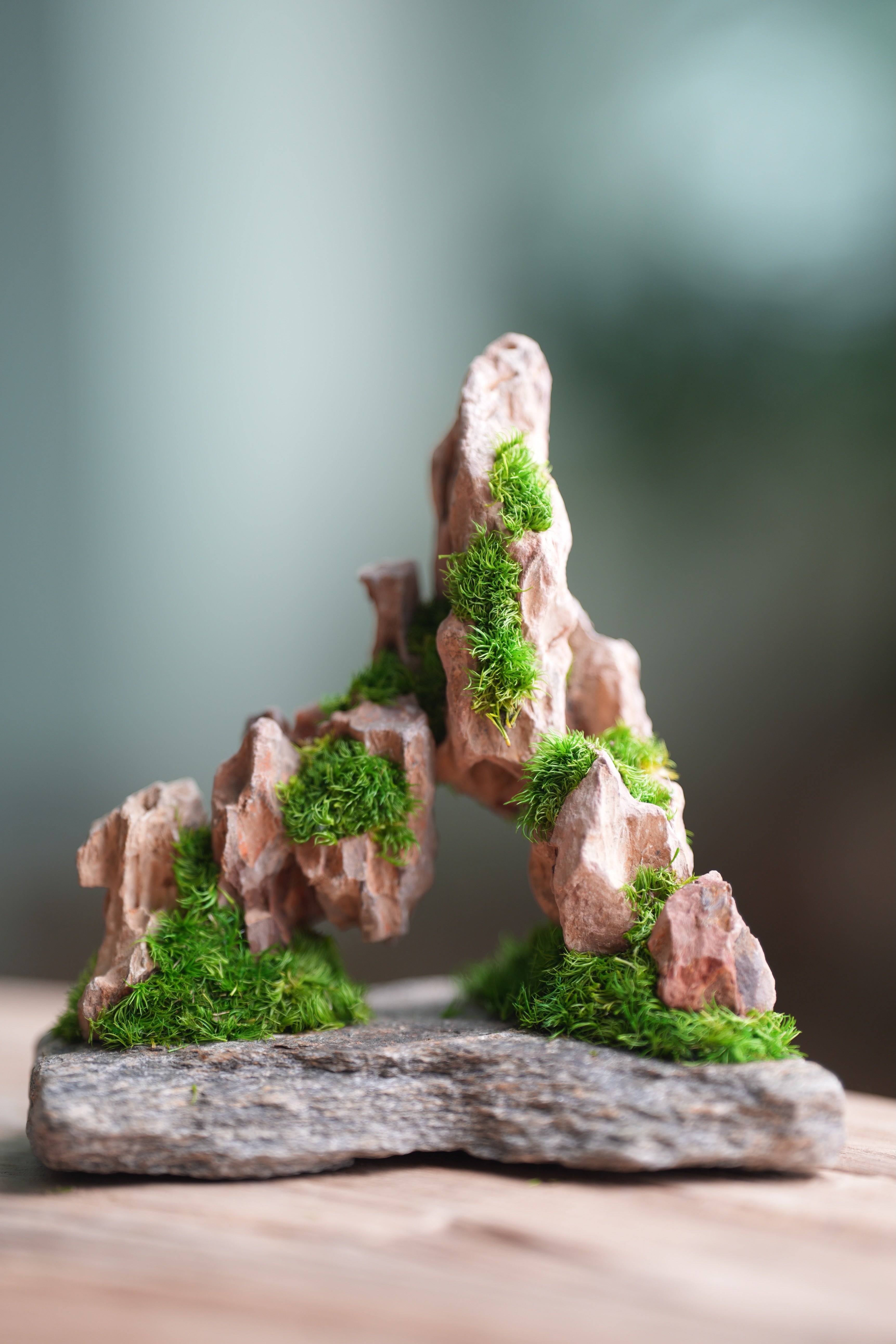 Angel's Landing - Smaller version (Preserved Plants)
