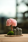 A Small Tree in the East - Sakura - Trio of Everjoy (Preserved Plants)