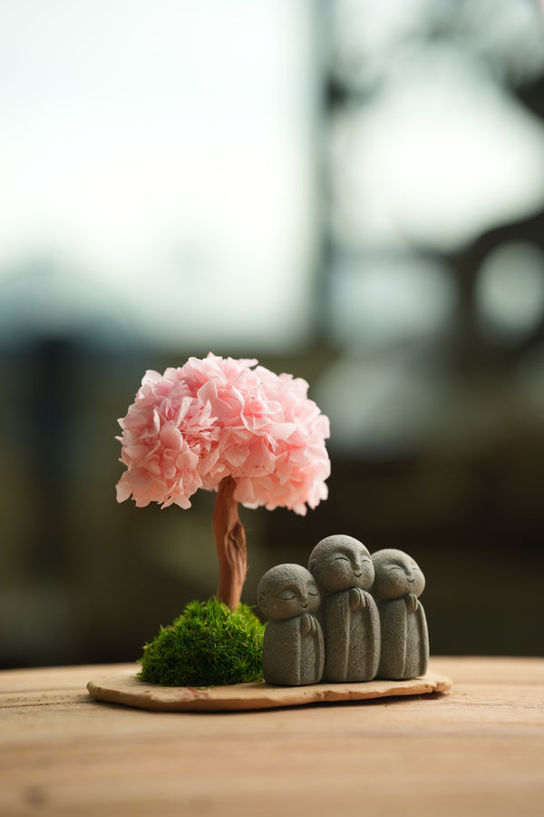 A Small Tree in the East - Sakura - Trio of Everjoy (Preserved Plants)