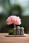 A Small Tree in the East - Sakura - Trio of Everjoy (Preserved Plants)