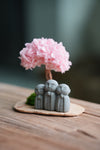 A Small Tree in the East - Sakura - Trio of Everjoy (Preserved Plants)