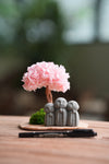 A Small Tree in the East - Sakura - Trio of Everjoy (Preserved Plants)