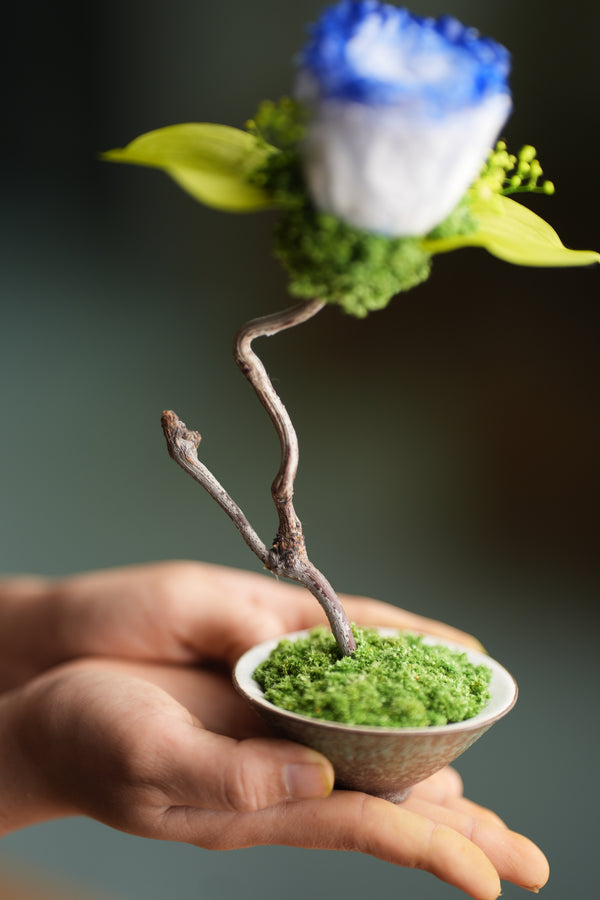 Children of the Forest - Jupiter - Blue Dream (Preserved Plants)