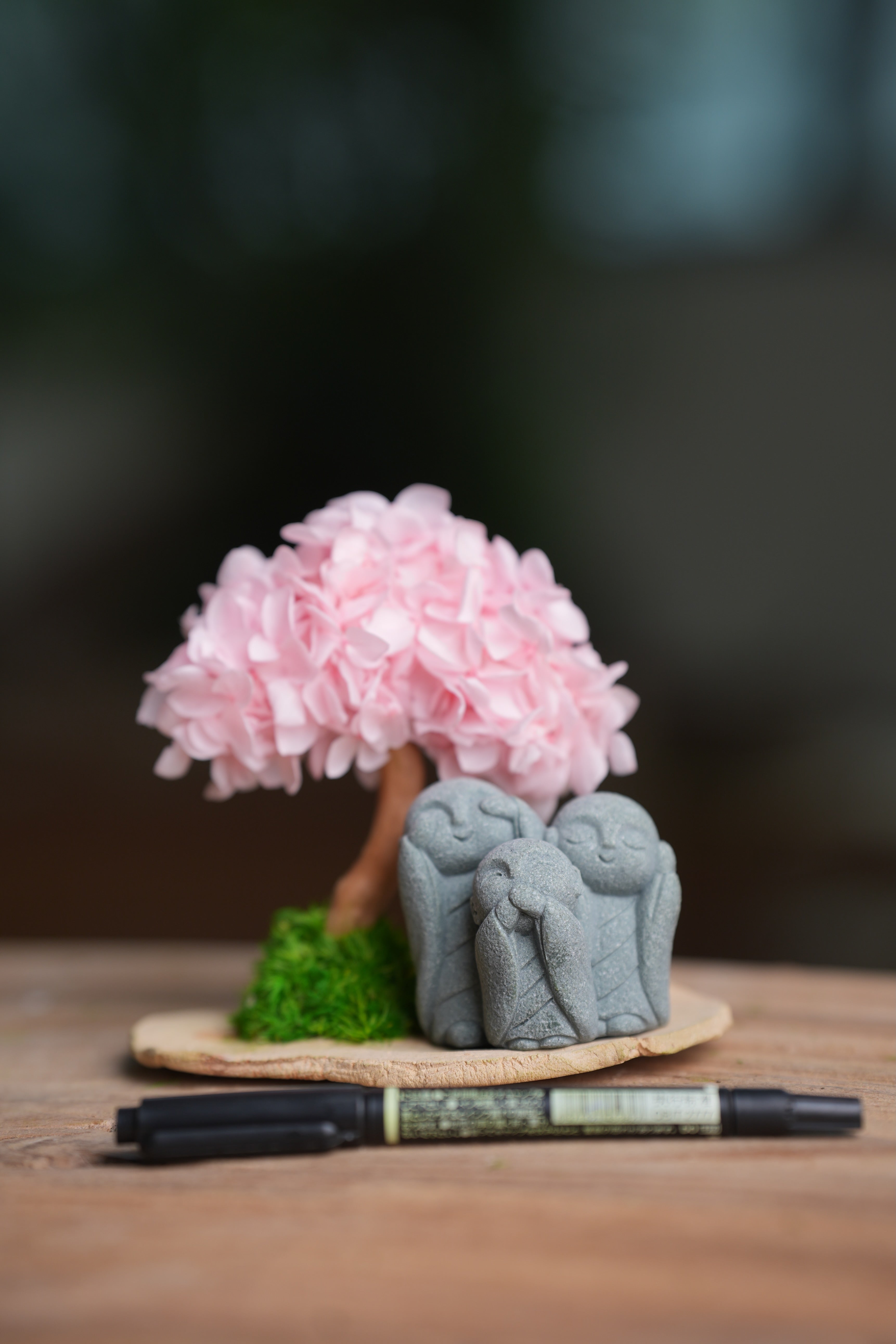A Small Tree in the East - Sakura - Trio of No Evil (Preserved Plants)